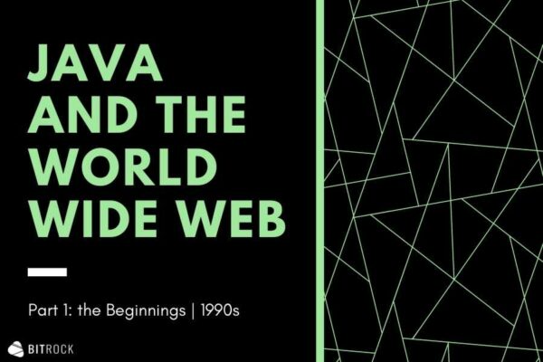 Java & the World Wide Web: the Beginnings