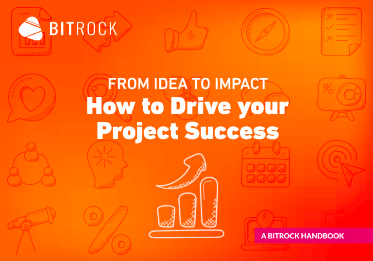 How to drive your Project success - a bitrock handbook