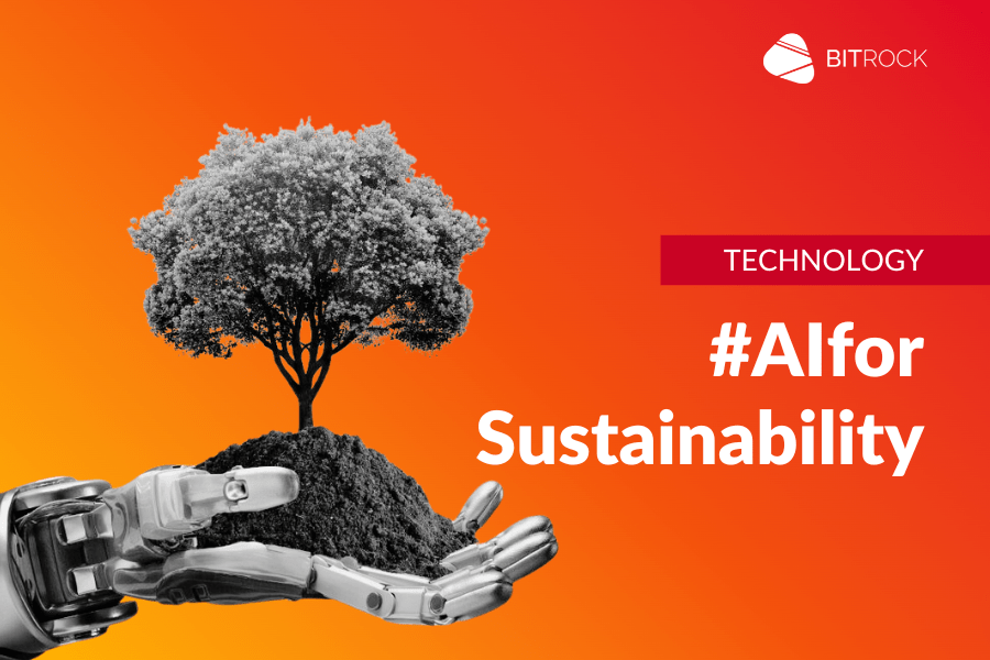 AI for Sustainability