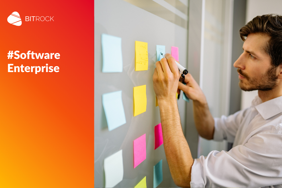 Software enterprise: expert users requirements